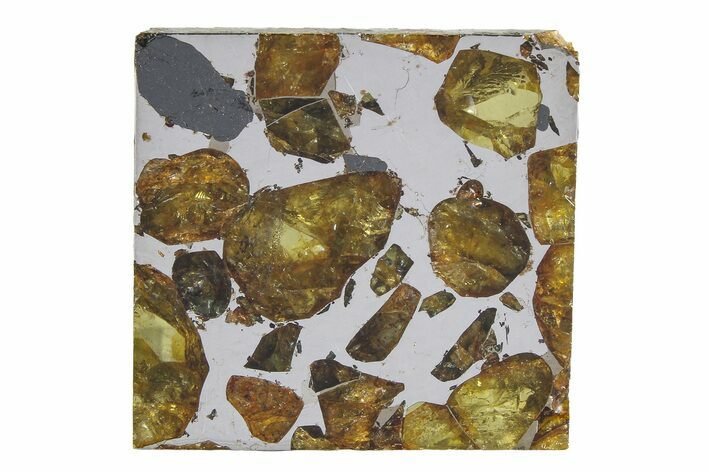 Brahin Pallasite Meteorite ( g) Slice - Belarus #351942